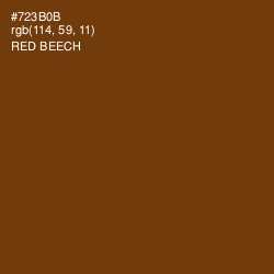 #723B0B - Red Beech Color Image